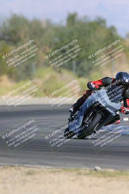 media/Nov-11-2023-SoCal Trackdays (Sat) [[efd63766ff]]/Turn 2 Set 2 (1145am)/